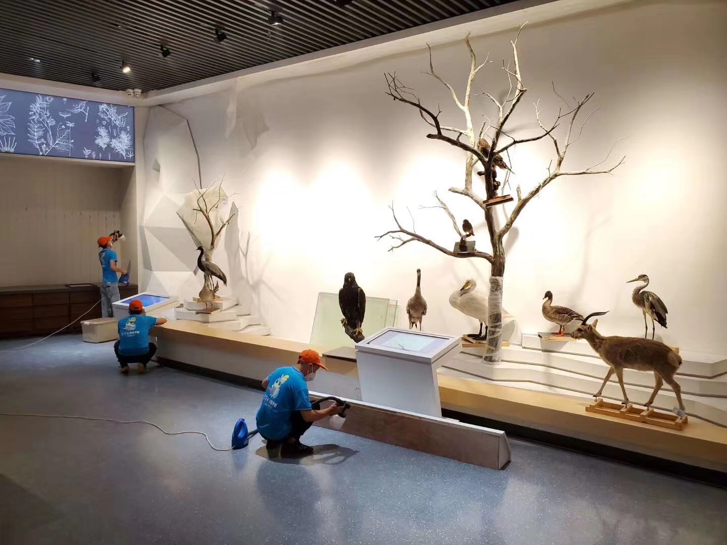 荃芬西寧除甲醛施工 荃芬西寧除甲醛施工