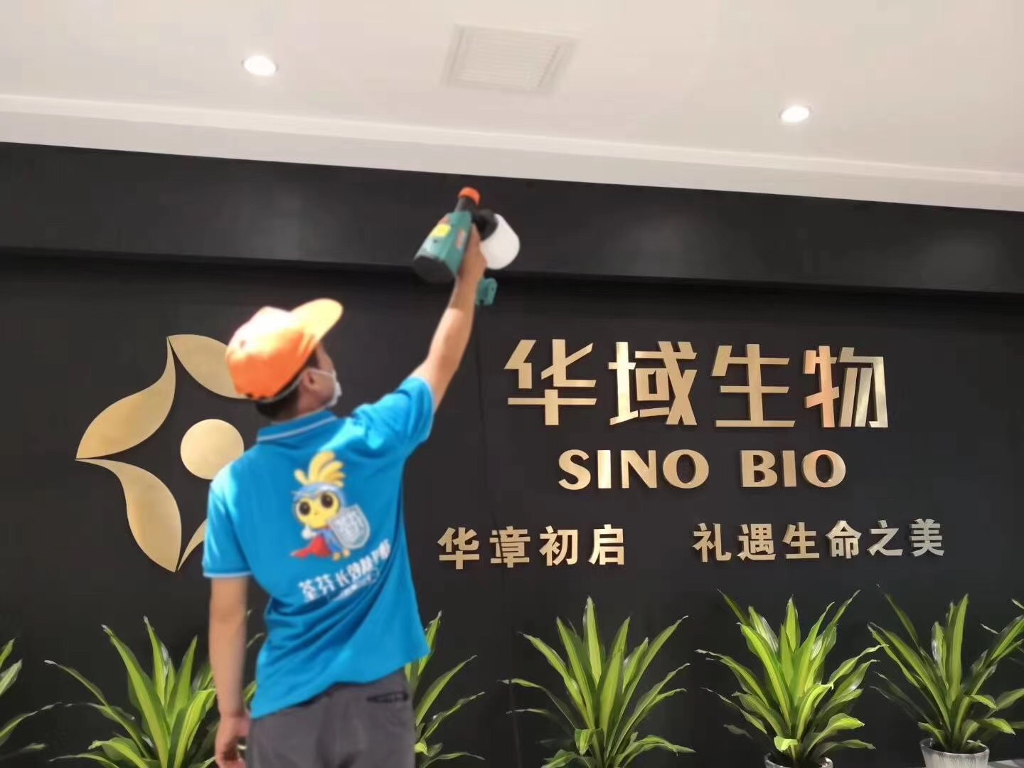 公司形象墻噴涂施工 公司形象墻噴涂施工